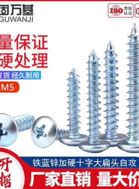 蓝锌加硬大扁头自攻螺丝钉十字蘑菇伞头木螺钉TA圆头自攻钉M4M5M6