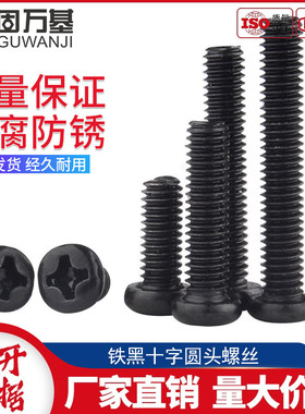 铁黑圆头螺丝十字槽盘头螺栓PM机牙螺钉平尾机丝螺丝钉M2M3M4M5M6