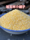 东北特产延边笨玉米小碴子农家五谷杂粮产地发货 包邮
