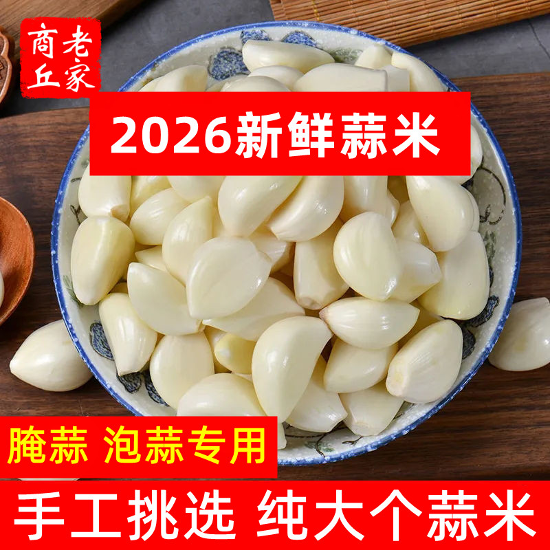 精选纯大个大蒜大个头泡蒜用