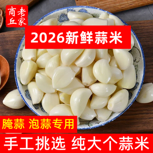 纯大个大蒜米精选新鲜蒜米5斤手工剥皮大蒜子去皮蒜瓣干蒜头包邮