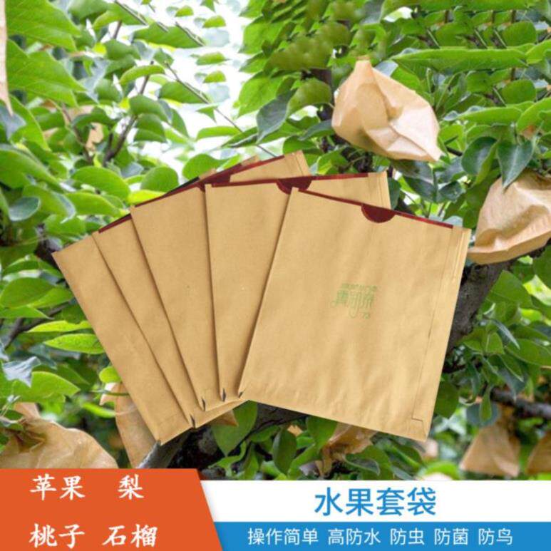 脐橙果树桃子套袋透明育果袋保护套水果梨子果子包装纸瓜果防虫水在类目 鲜花速递/花卉仿真/绿植园艺, 园艺用品, 其它园艺用品中 - 来自Buy2taobao.com提供专业的淘宝代购服务