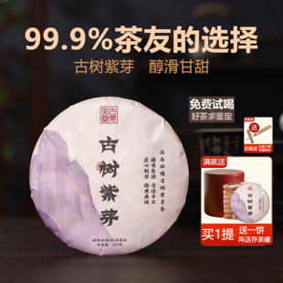 野生古树紫芽普洱茶熟紫茶饼云南勐海高级上等金芽茶叶木质香甜滑