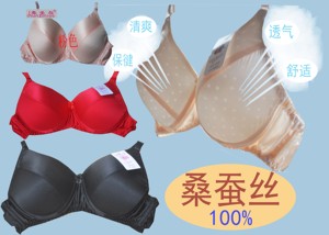 双面100%桑蚕丝薄款透气春姿鸟AB杯无圈真丝文胸内衣厂家直销