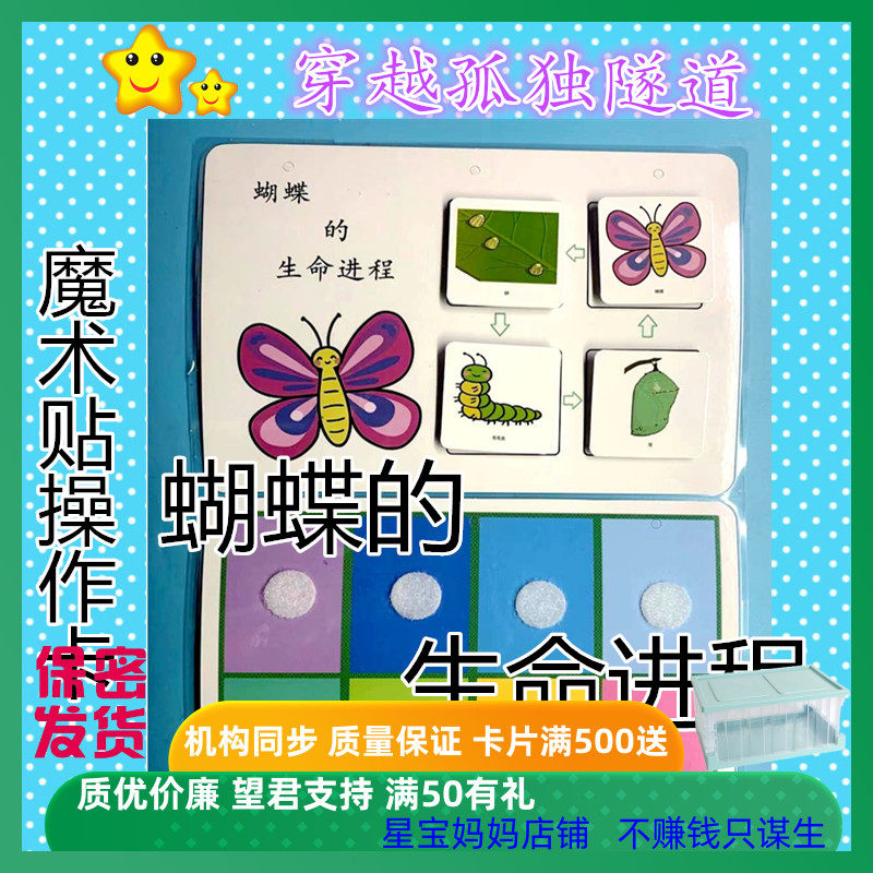 幼儿园教具教具认知蝴蝶生命进程