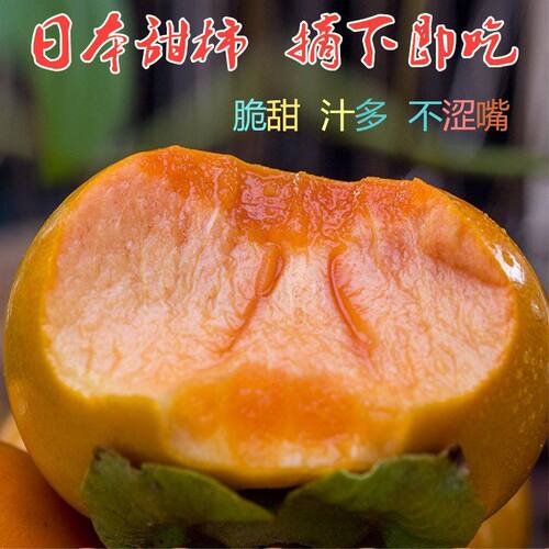 盆栽果树苗带果南方室内阳台水果苗 小苹果梨树柿子山楂树苗