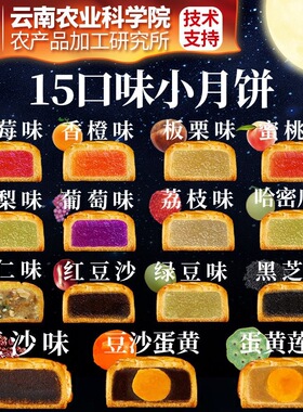 水果味月饼迷你小个多口味独立包装广式散装批发中秋月饼混合装