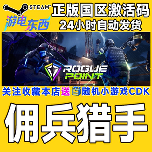 steam正版游戏 佣兵猎手 Rogue Point  国区激活码CDK