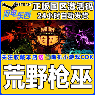 Wizard With steam正版 国区激活码 荒野枪巫 Gun CDK 游戏