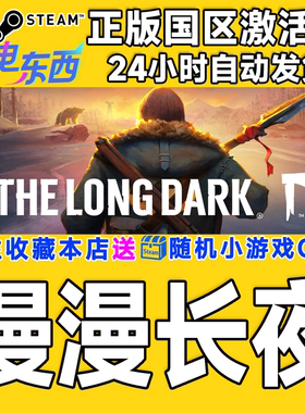 PC端steam漫漫长夜正版激活码CDK