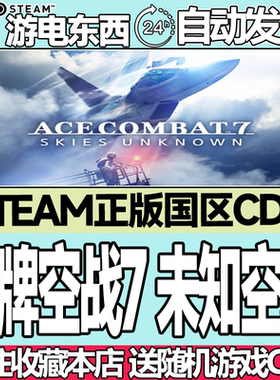 steam正版皇牌空战7国区key