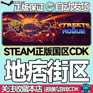 Steam正版 地痞街区 痞子街区 Streets of Rogue 国区激活码cdk