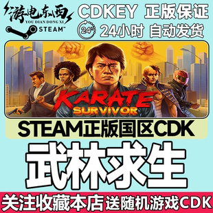 Steam正版 武林求生 Karate Survivor 激活码CDK现货