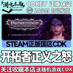 Steam正版 开拓者正义之怒 国区激活码cdk 现货秒发
