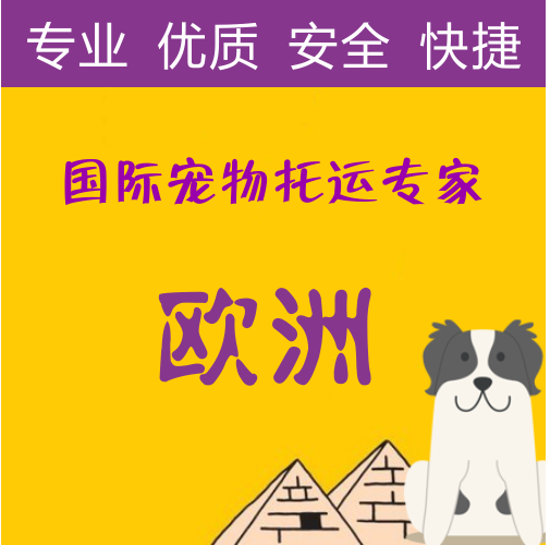 宠物托运欧洲欧盟血清狂犬抗体寄送检测猫狗空运代办随行运输