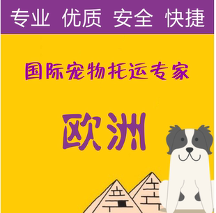 宠物托运欧洲欧盟血清狂犬抗体寄送检测猫狗空运代办随行运输