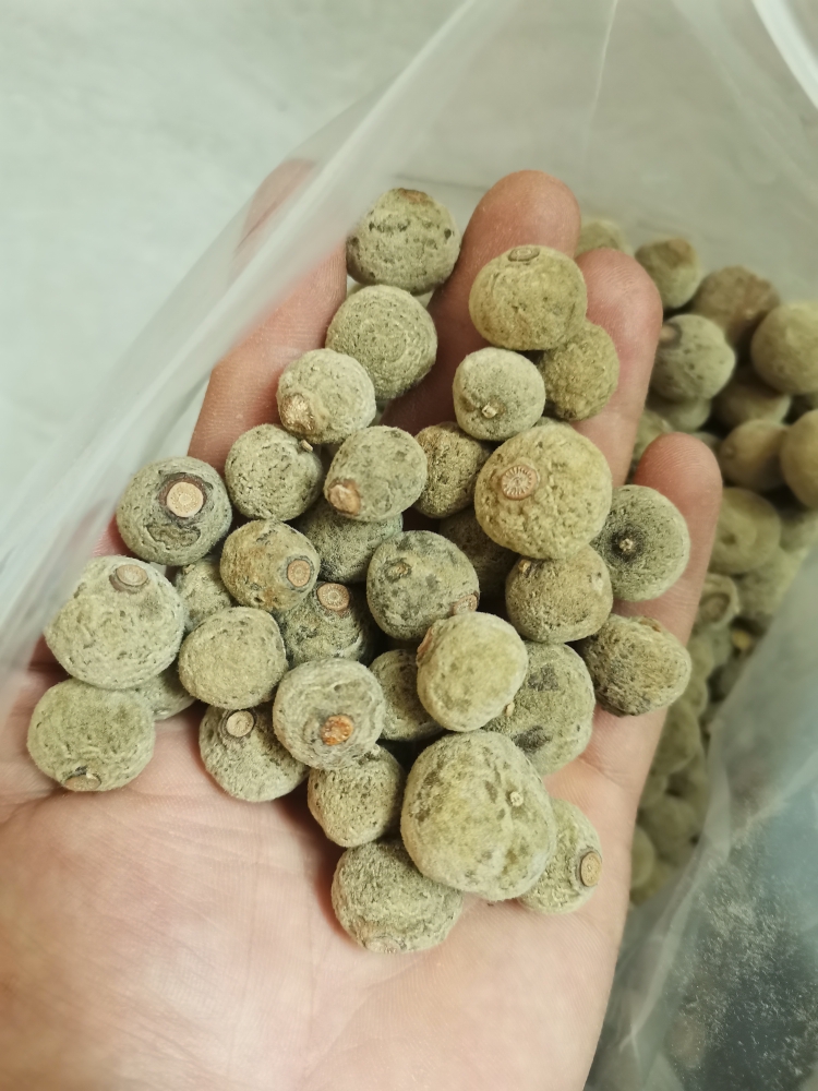 正宗化州橘红胎果 化橘红小果 毛绒绒的桔红正品产地直供养生橘红