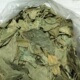 干叶批发 臭黄荆叶 150元 3斤 斑鸠叶 包邮 豆腐柴叶
