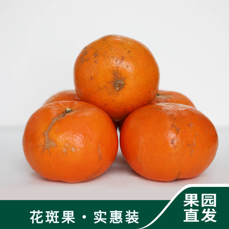 广西正宗武鸣沃柑花斑果5斤贵妃柑新鲜橘子水果应季水果薄皮,水产肉类/新鲜蔬果/熟食,桔子,淘宝优惠券,粉丝福利购,淘宝优惠卷