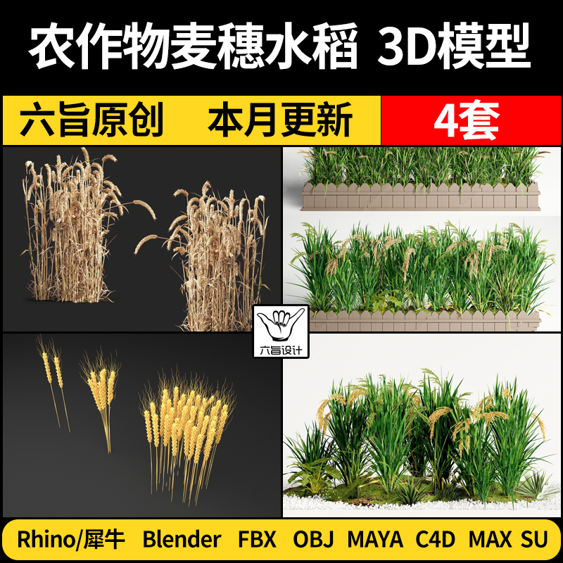 blender农作物麦穗子水稻谷Rhino犀牛C4D/SU/3Dmax模型FBX MAYA