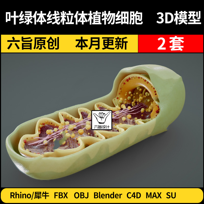 blender叶绿体线粒体植物细胞SU/Rhino犀牛C4D/3Dmax模型FBX OBJ