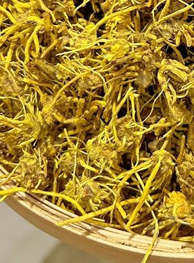 正宗云南雪山龙须石斛中药材黄龙草黄龙根茎龙须草根茶