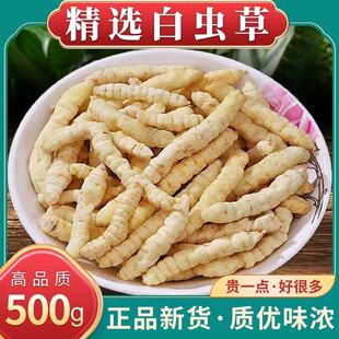 白虫草草石蚕地蚕土冬虫草泽兰根白虫草花草茶秋冬季煲汤泡水
