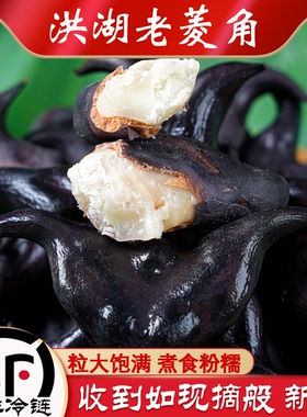412顺丰包邮 洪湖老菱角粉糯大青菱角湖北农家特产野生新鲜现摘