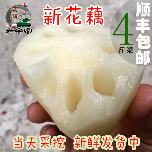 顺丰新花藕4斤生吃洪湖嫩莲藕