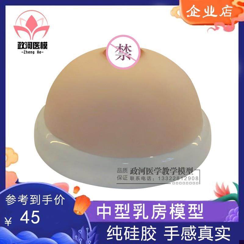 医模乳房模型乳房教学模型义乳示教假L乳催乳师哺乳培训模型