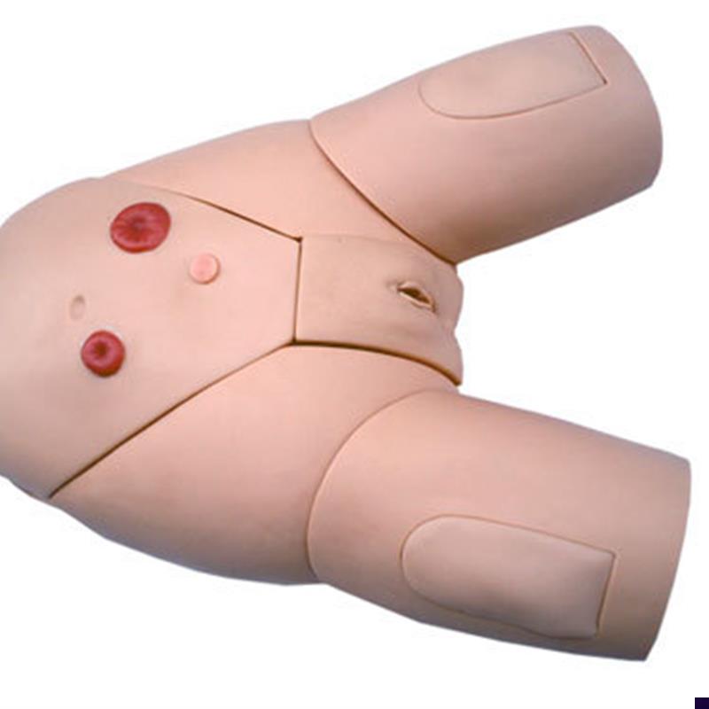 高级男女性人体导尿训练模型灌肠模型M医学导尿操作教学模型