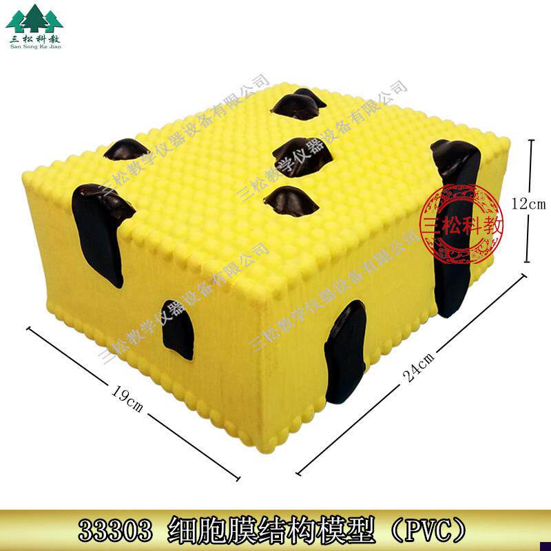 细胞膜结构模型j33303初中高中生物实验器材中.学教学仪器