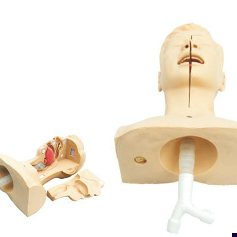 高级吸痰练习模i型鼻腔口腔插管吸引训练模型医学用操作教学模型