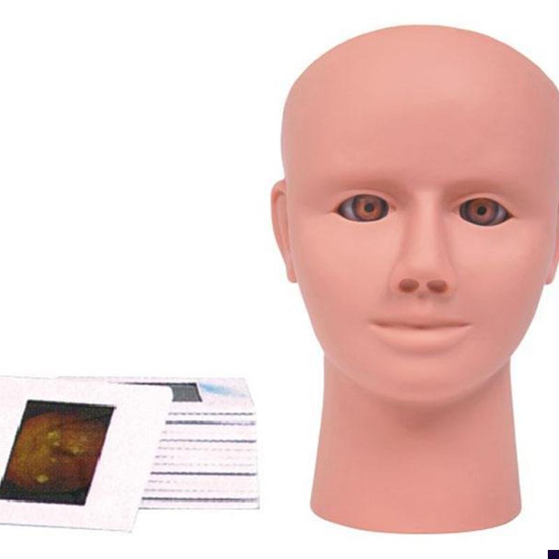 高级眼内视网B膜病变检查模型