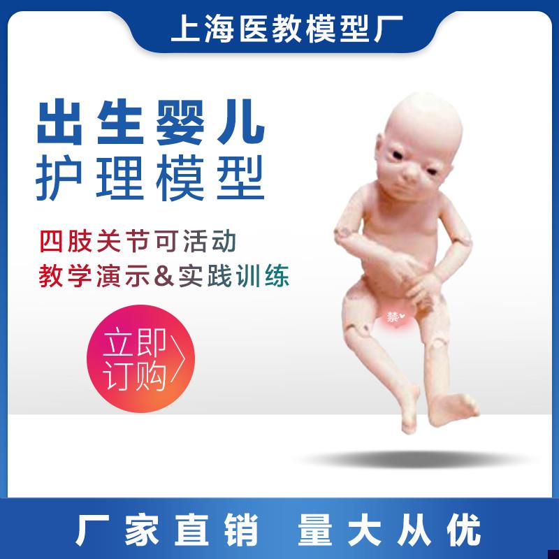 高端关节螺丝q出生婴儿模型四肢可活动