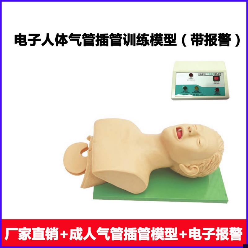电子人体气管插管训练模型(带牙齿受压报K警)口腔鼻腔气管插管训