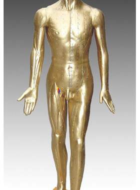 中医标准人体针灸铜人84CM(青铜色)练习N假人经络模具穴位橡皮人