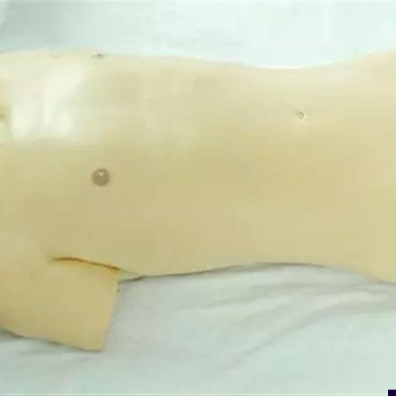 术前模型术前无菌操作训练模型手术无菌T操作训练模型人