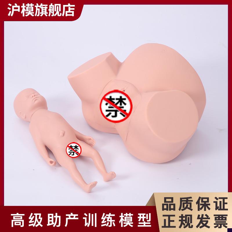 沪模助产训练模型孕妇难产示教模型分娩教学模具医学妇产科助产培