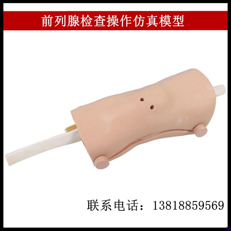 膝关节镜检查操作模型
