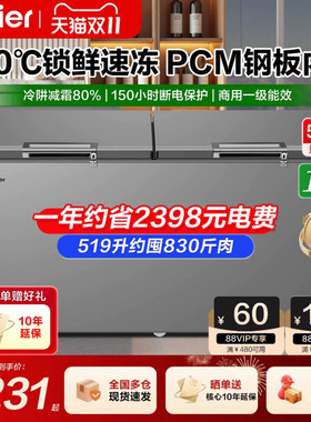 海尔商用大容量超低温速冻冷柜