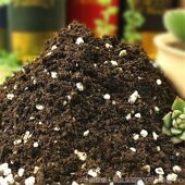 多肉营养土铺面石黄金沙麦饭石陶粒颗粒五彩白石赤玉土wHxk26adFo