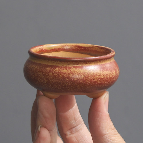 陶瓷花盆圆形特小号多肉盆菖蒲盆景盆微型迷你口径绿植盆栽盆桌面