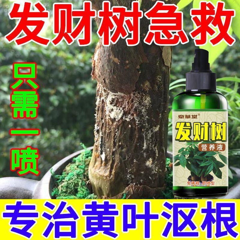 发财树专用肥料发财树黄