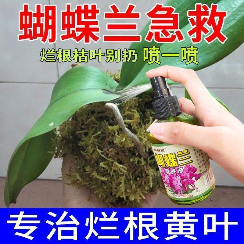 蝴蝶兰营养液【免稀释】