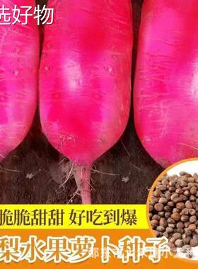 Pineapple fruit, radish seeds, raw purple beauty, radish ro