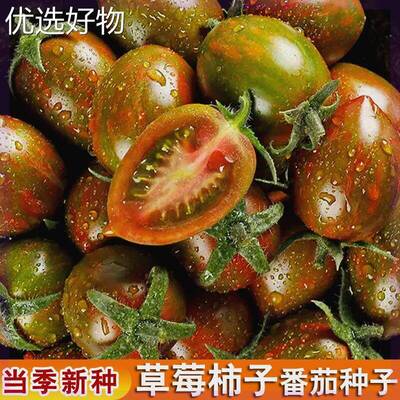 Strawberry, persimmon, tomato seeds, high-yielding cherry,