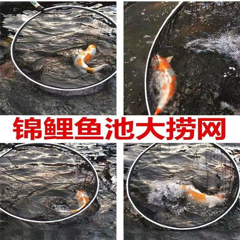 锦鲤鱼池专用手抄网中大