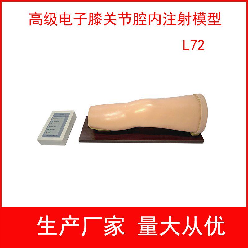 高级电子膝关节腔内注射模型(带F电子)膝关节穿刺训练模型