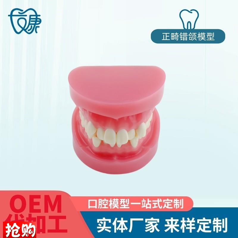 牙科牙齿材料模型牙模口腔w正畸训练模型牙模型标准练习正畸模型
